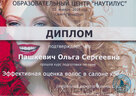 Диплом мастера: Пашкевич Ольга 20160615