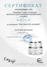 Диплом мастера: Ромачёва Татьяна 20070328