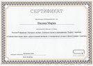Диплом мастера: Васина Мария 20140220
